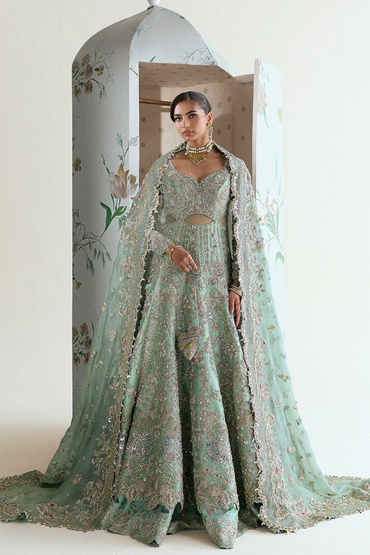 Suffuse Wedding Festive Organza Hand Emblishment Suit ASHAL