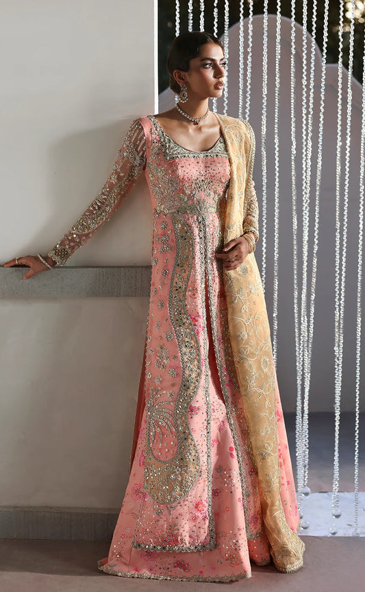 Soraya Lumene Luxury Organza Embroidered Unstitched 3PC Suit-Velora